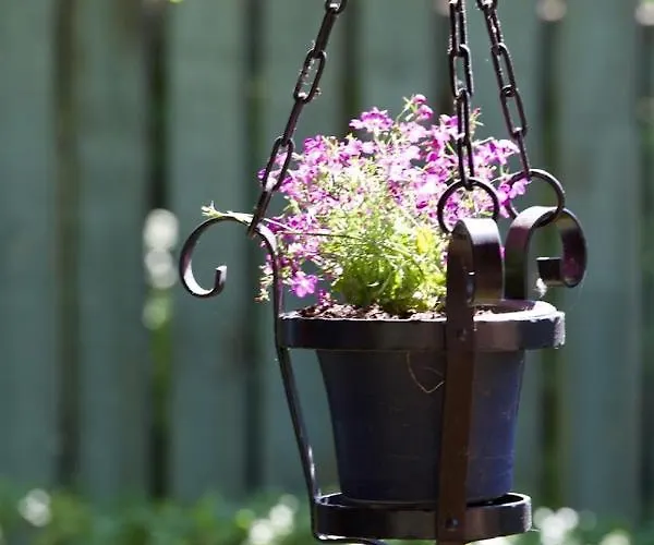 Meri بيت ضيافة